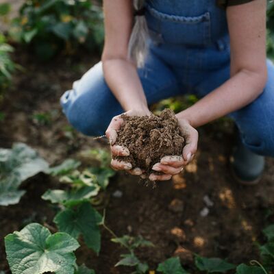 Soil held in the palms of someone's hands
